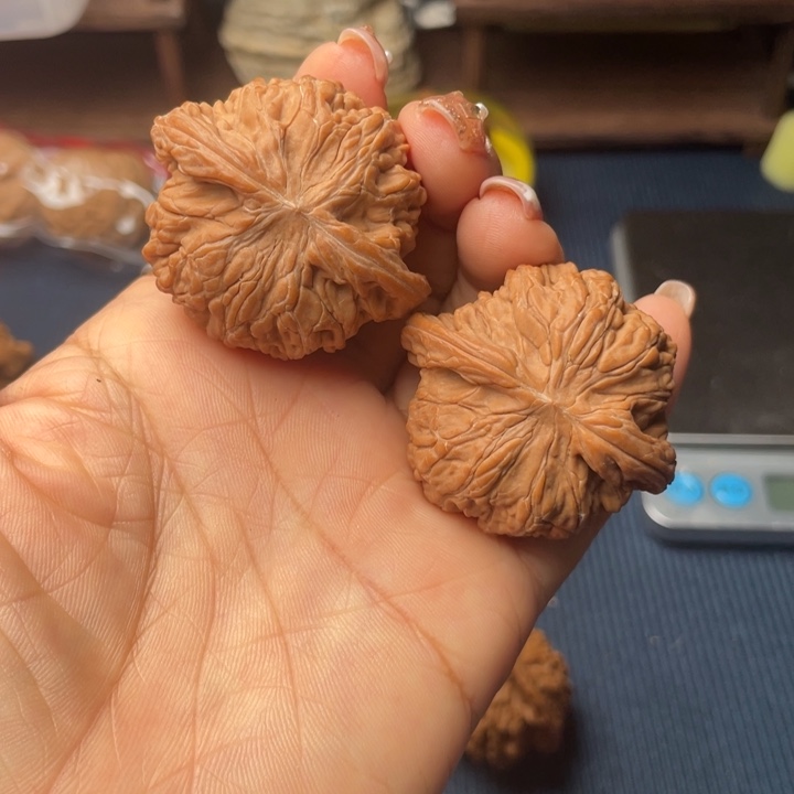 核桃41磨盘全品无修