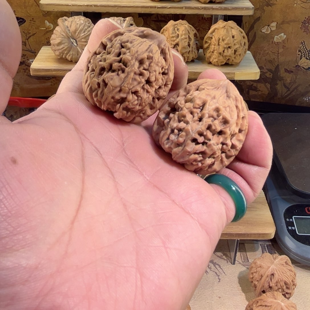 把件文玩核桃蚂蚁王