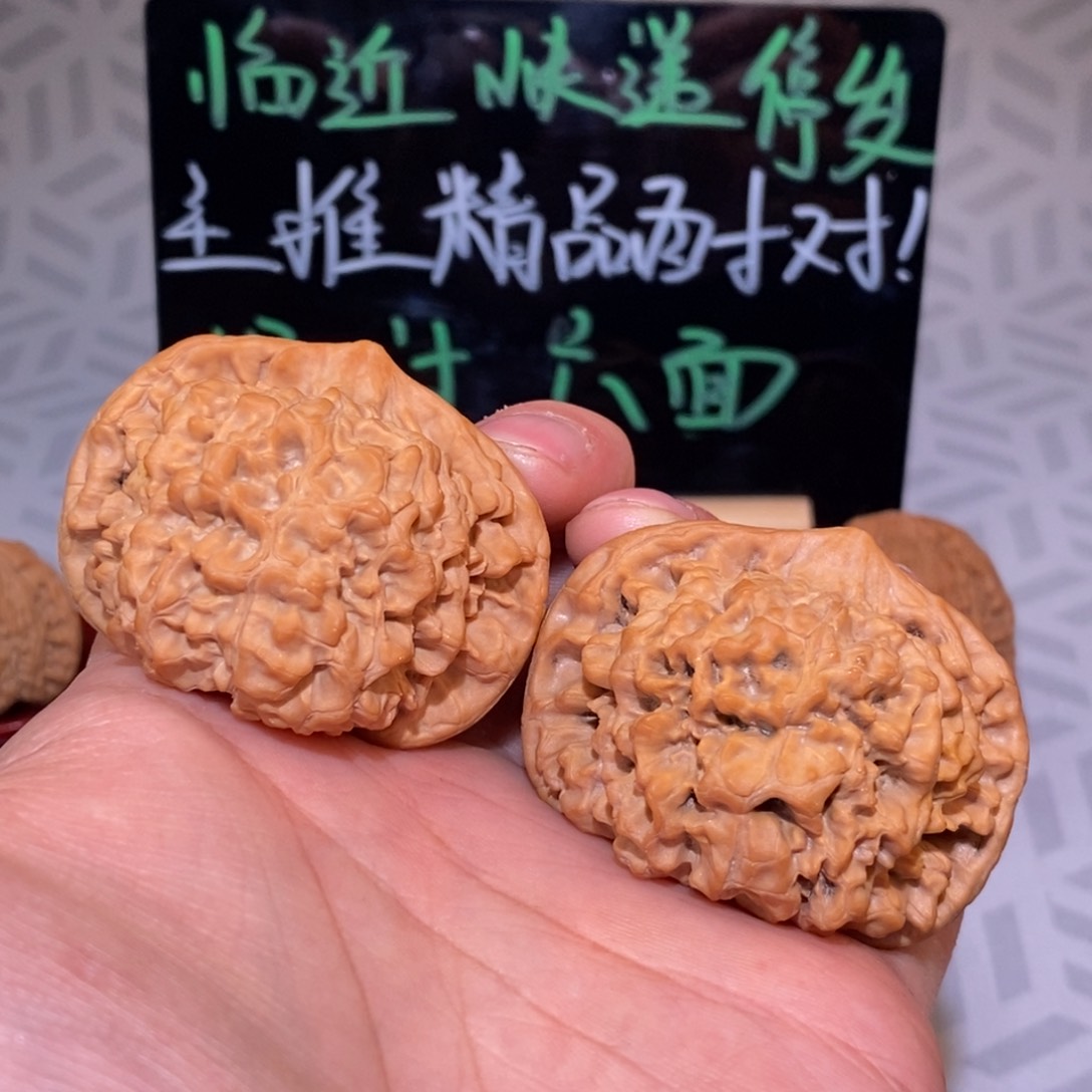 50 官帽 全品无修 白茬 矮桩