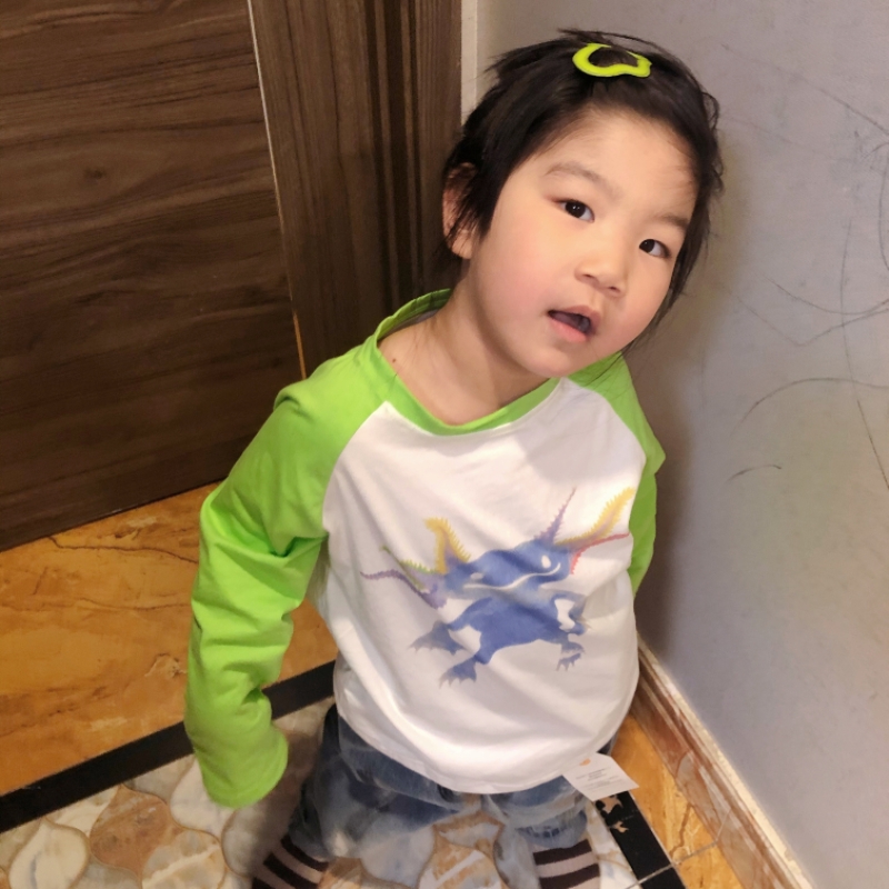 【DX定制】（清）儿童亲子潮牌小怪兽数码印花纯棉透气防晒长袖T恤