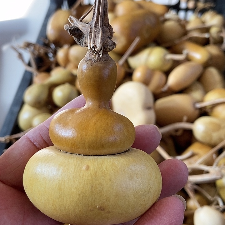 h h h j ii j g gh hj