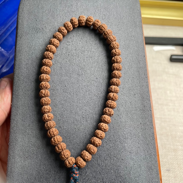 老树王编码5187金刚菩提7.5尺一物一图