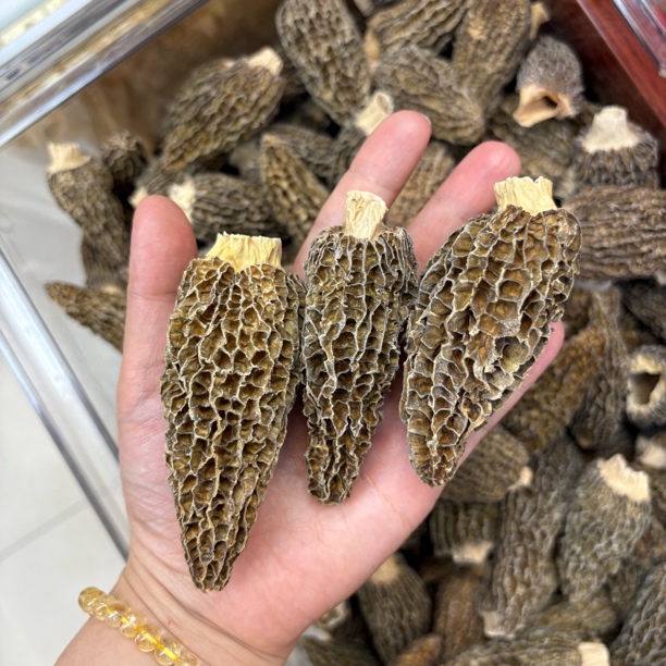 【羊肚菌】精选足干货煲汤好搭档