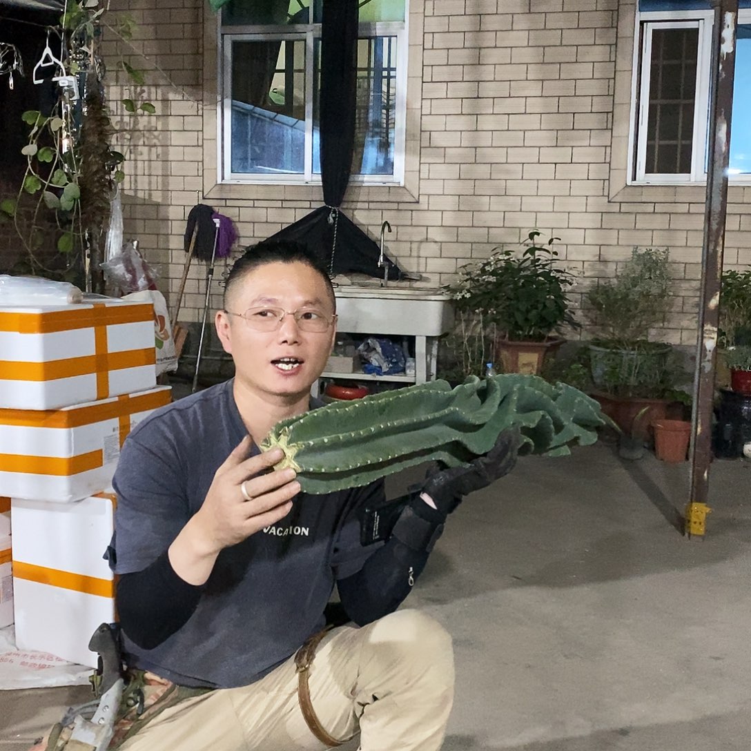 14号拍品。           