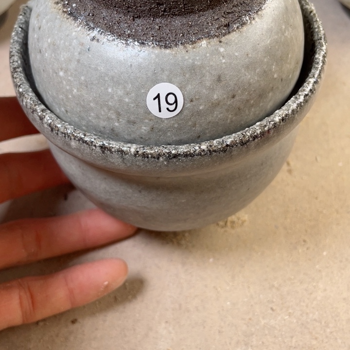 茶盏盏盏灯都是我的爱啊