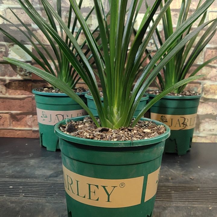 完全开放1111111111