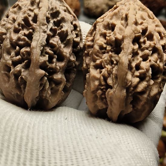 文玩核桃吊坠大楸核桃5号