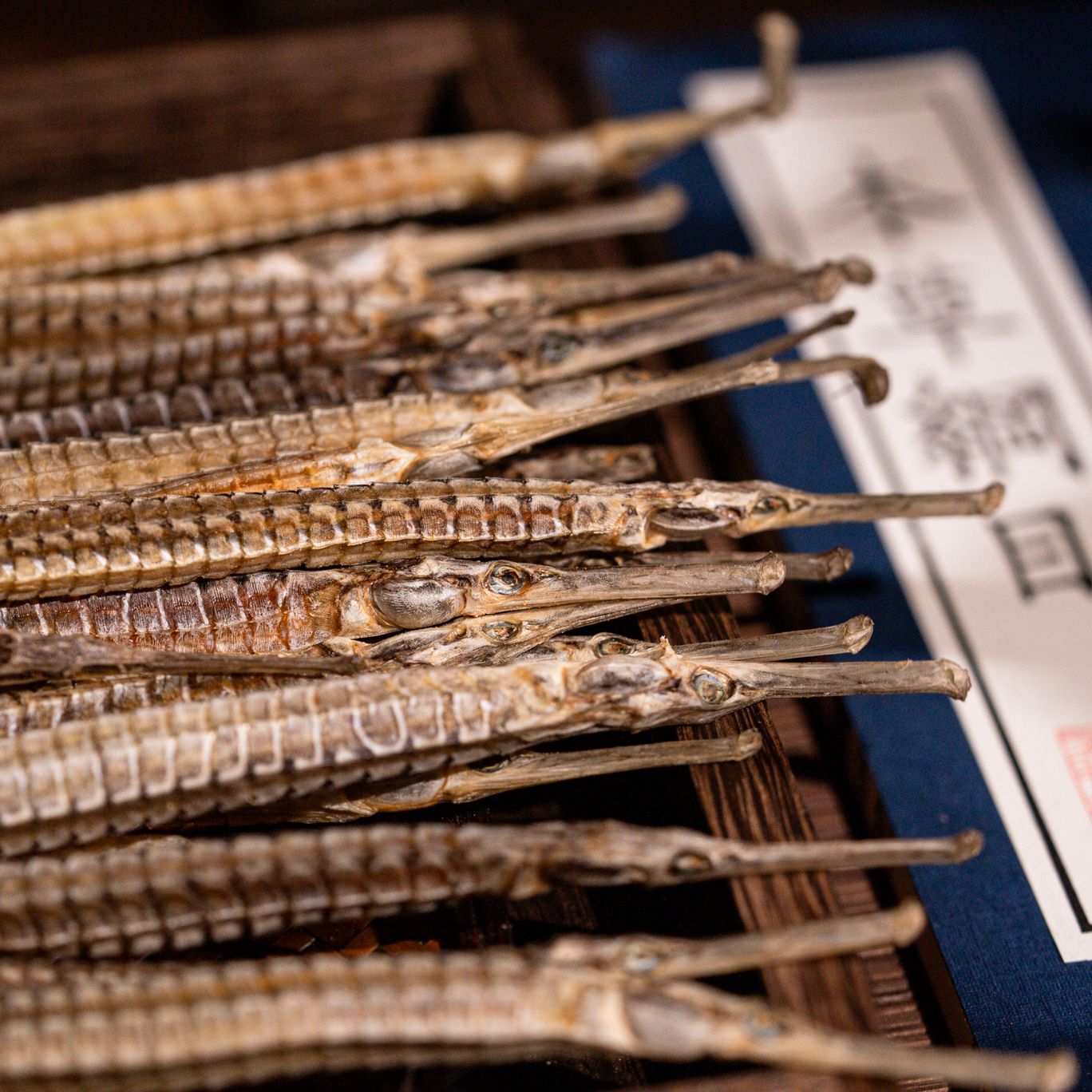 精选大海龙天然野生六角海龙干货煲汤泡酒优质原材料滋补