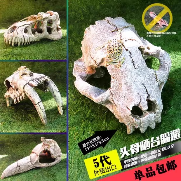 仿真恐龙头骨宠物蜥蜴爬虫屋造景爬宠饲养箱守宫蛇躲避窝鬃狮晒台