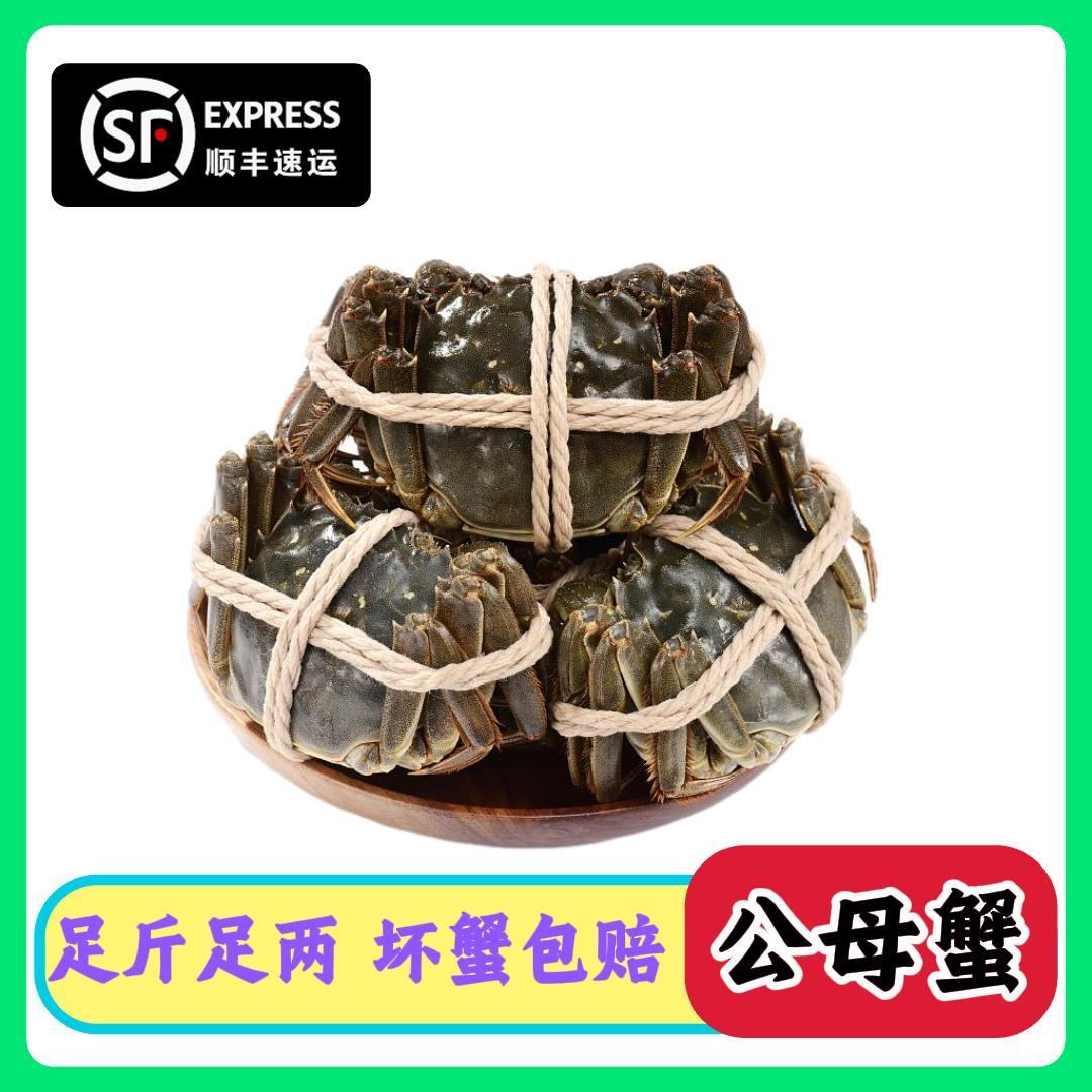 【满湖蟹】活蟹公蟹4.0-3.7两+母蟹3.0-2.7两4/5对 苏州精品大闸蟹Q