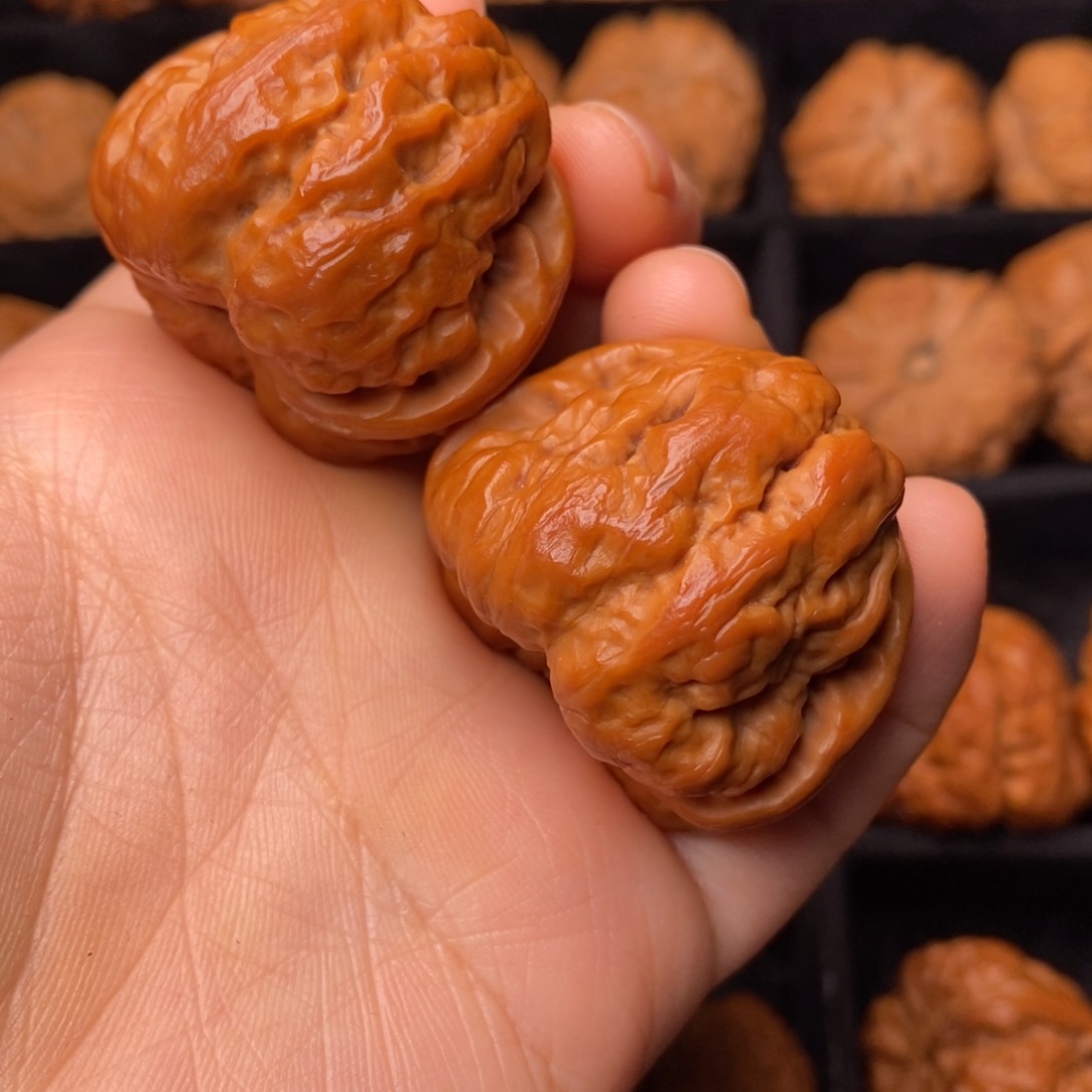 文玩核桃把件秦岭野生核桃