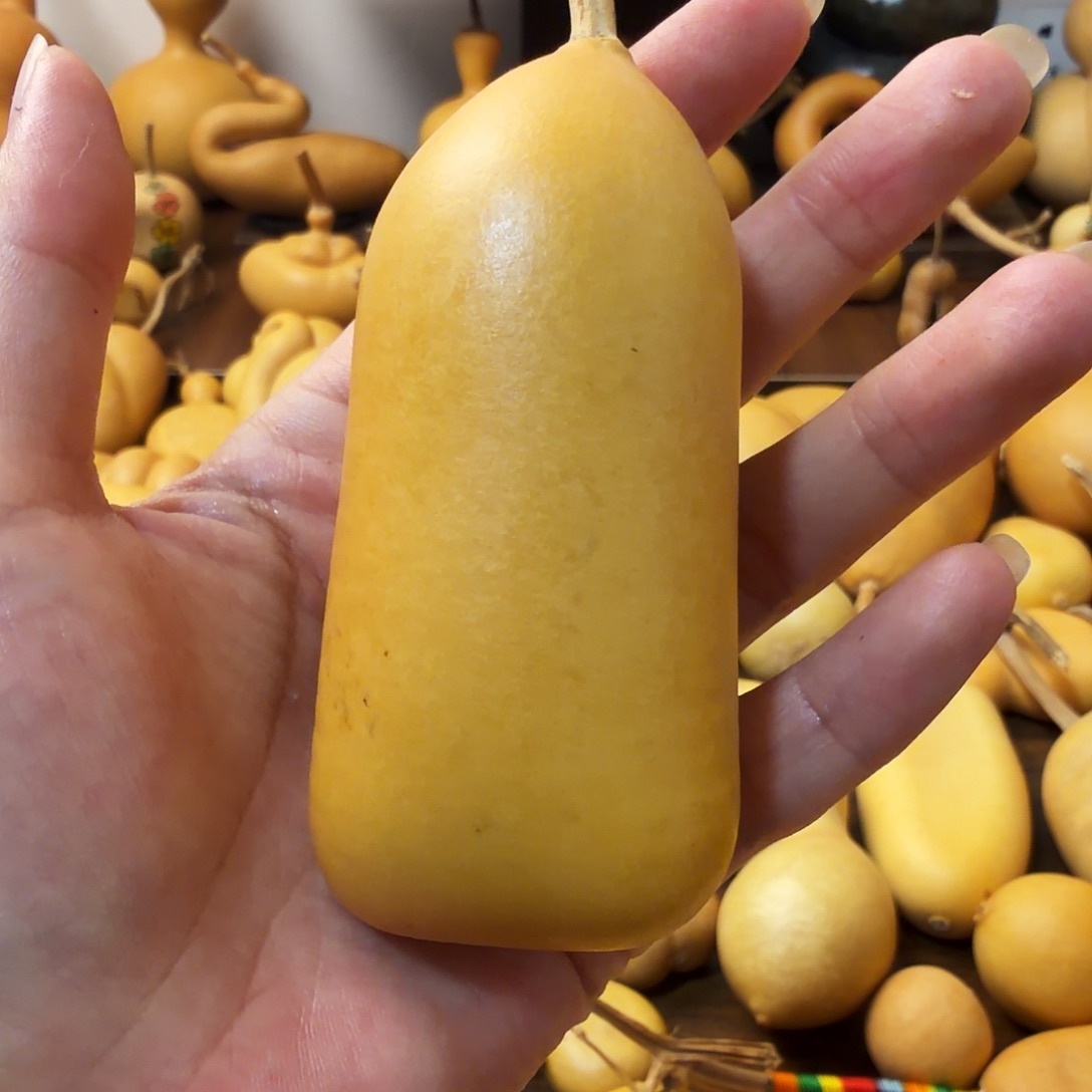 唐***唐纯天然的真葫芦45