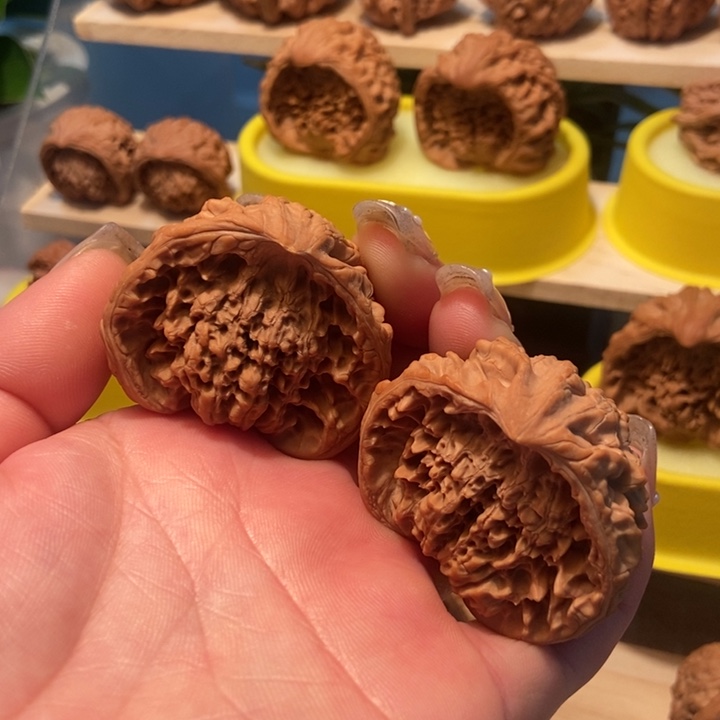 官方网站发布消息