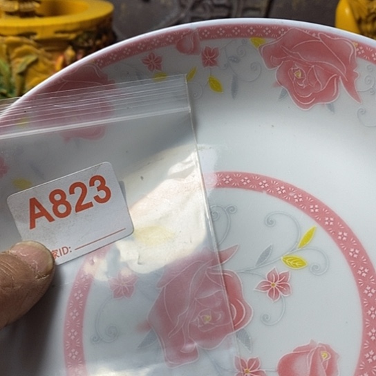 罐狐****苏我想知道为什么