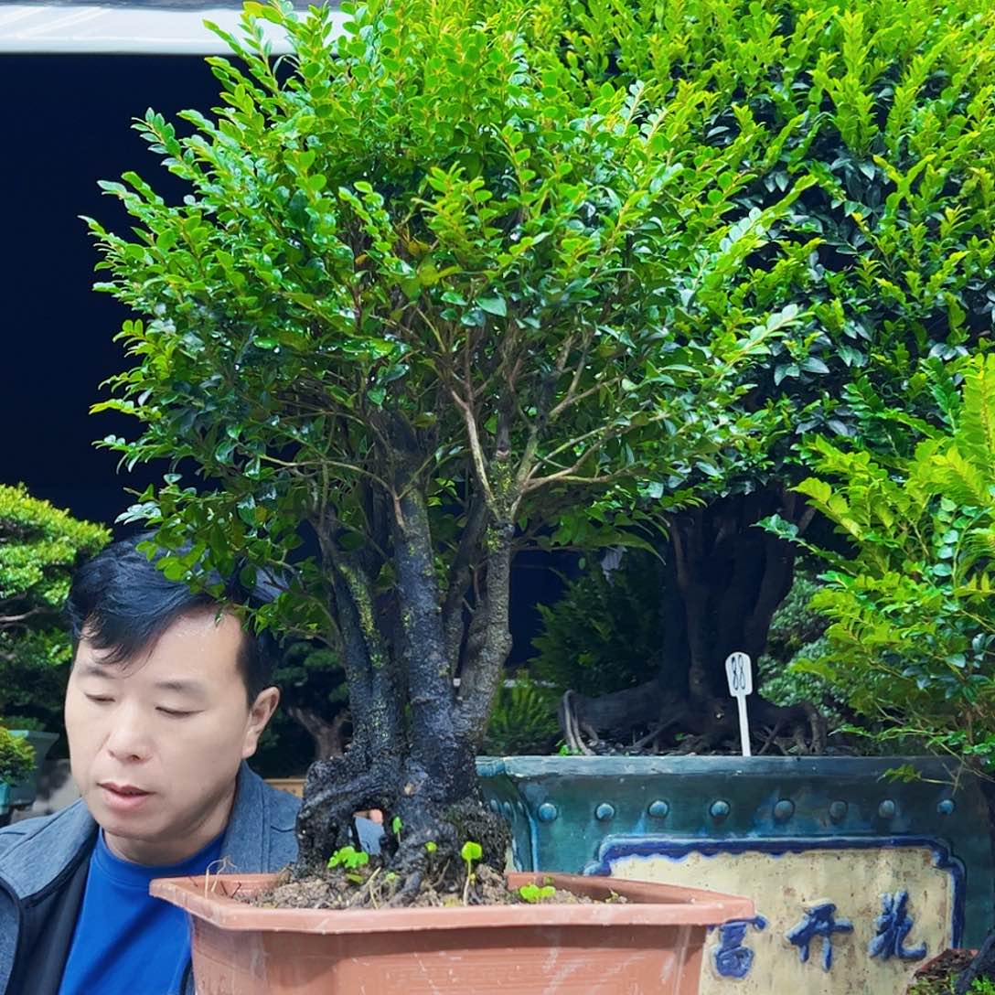 以实际为准董***北12345678