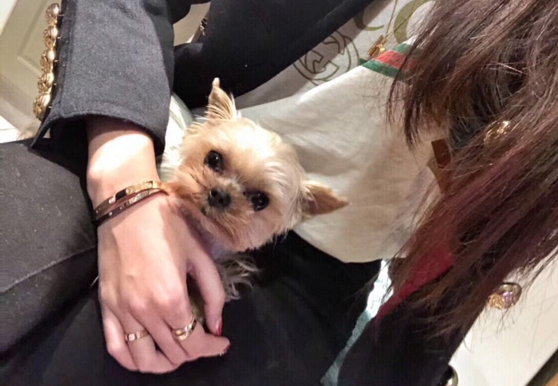 [301-355]2号链接耳饰