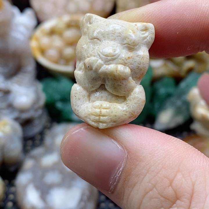 硅化珊瑚（珊瑚玉）颈饰未镶嵌