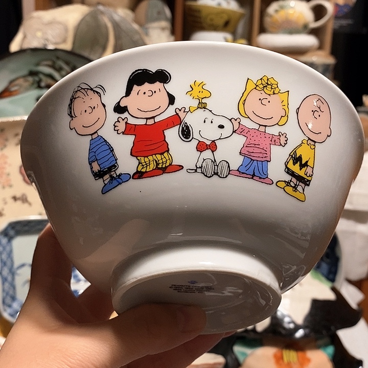 搪瓷老款大碗史努比