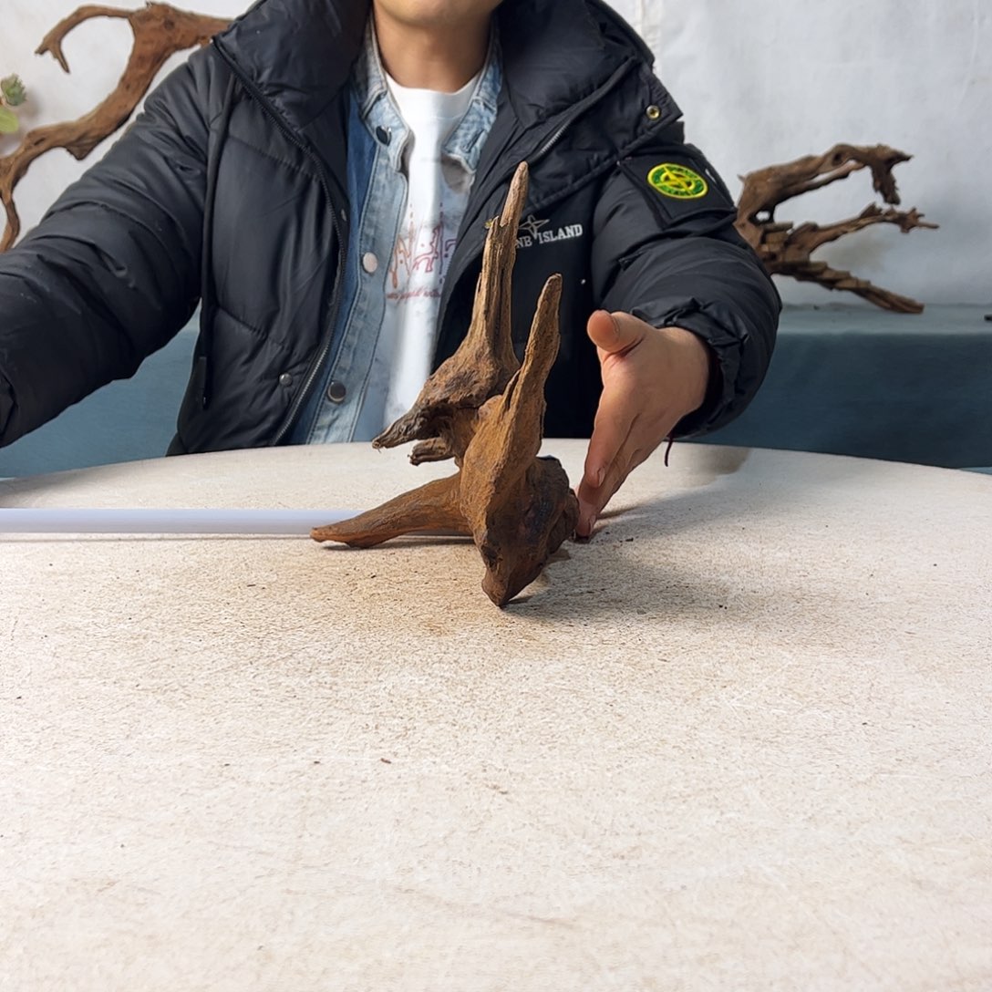 新年快乐沉木造景