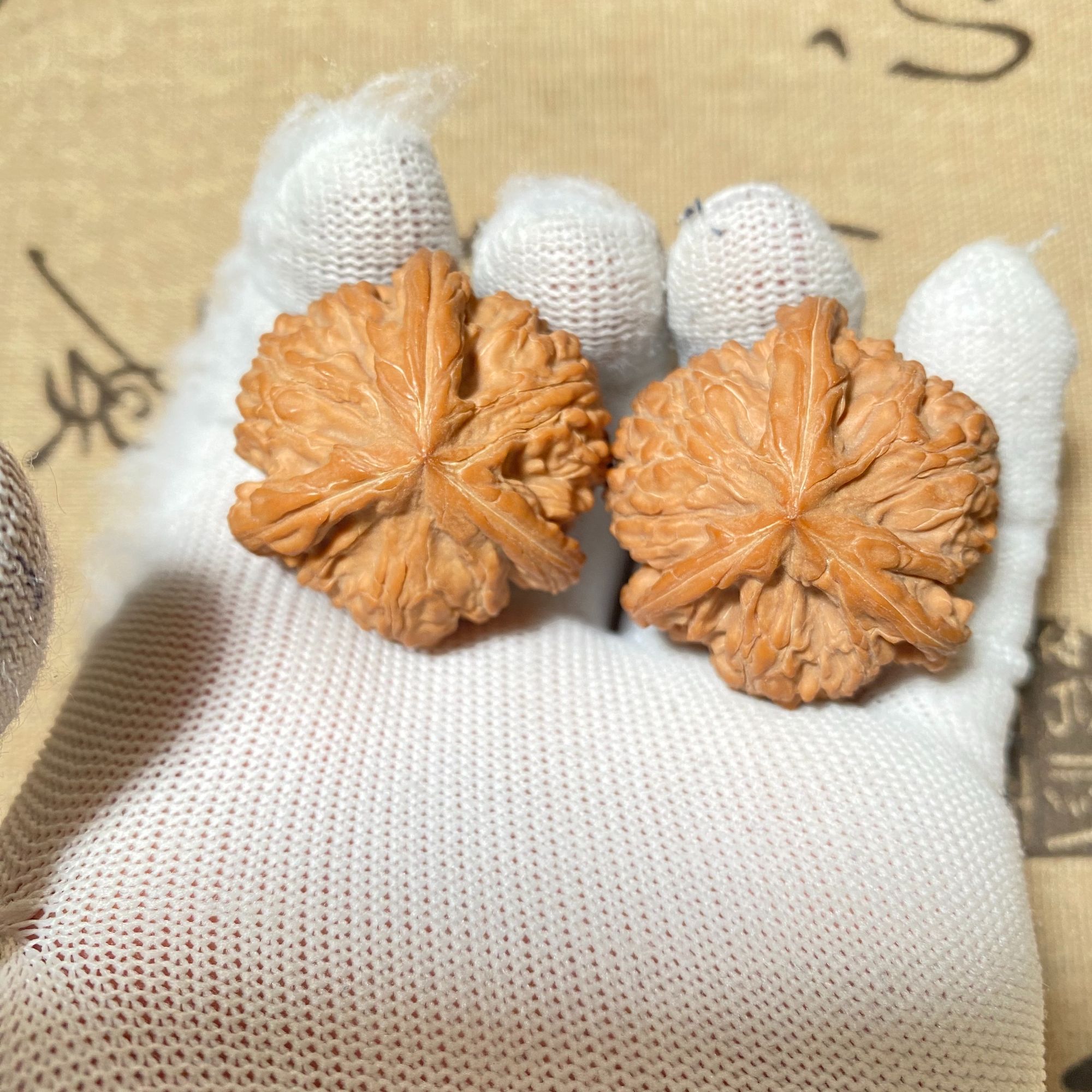 全品无修红皮御龙粗筋三棱38尺一物一图
