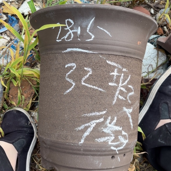 紫砂花盆紫砂的味道