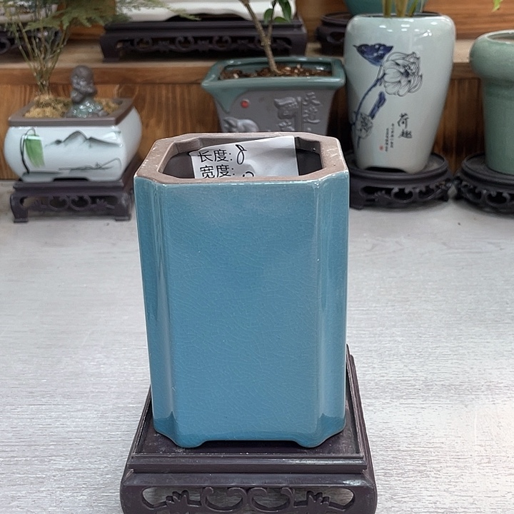 陶瓷花盆抢购福利活动