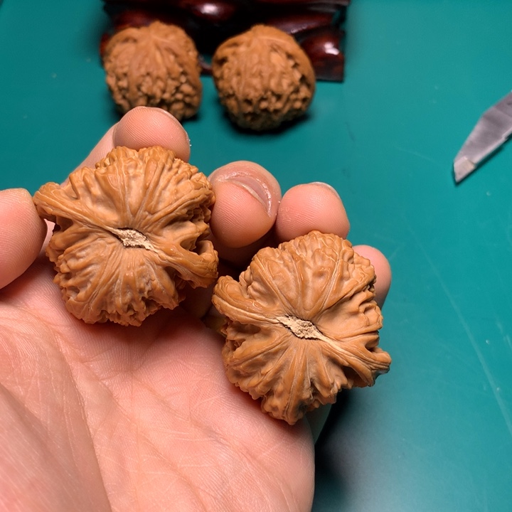 把件文玩核桃妖****Z白狮子