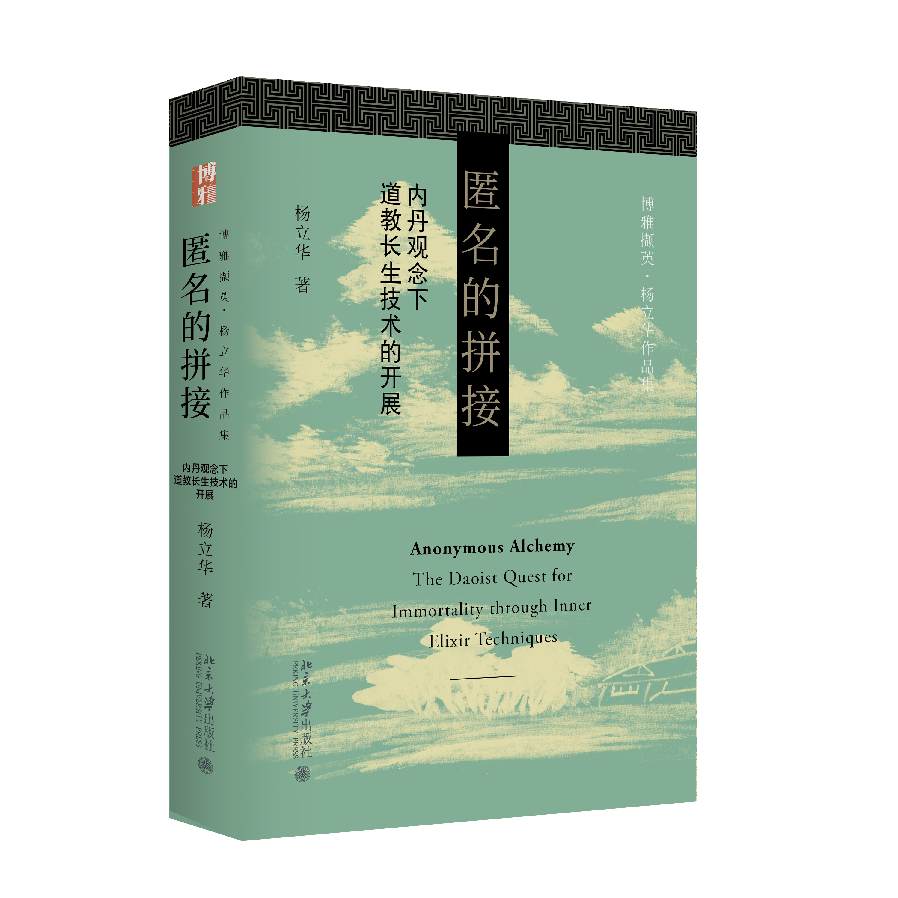 匿名的拼接  杨立华 著 博雅撷英