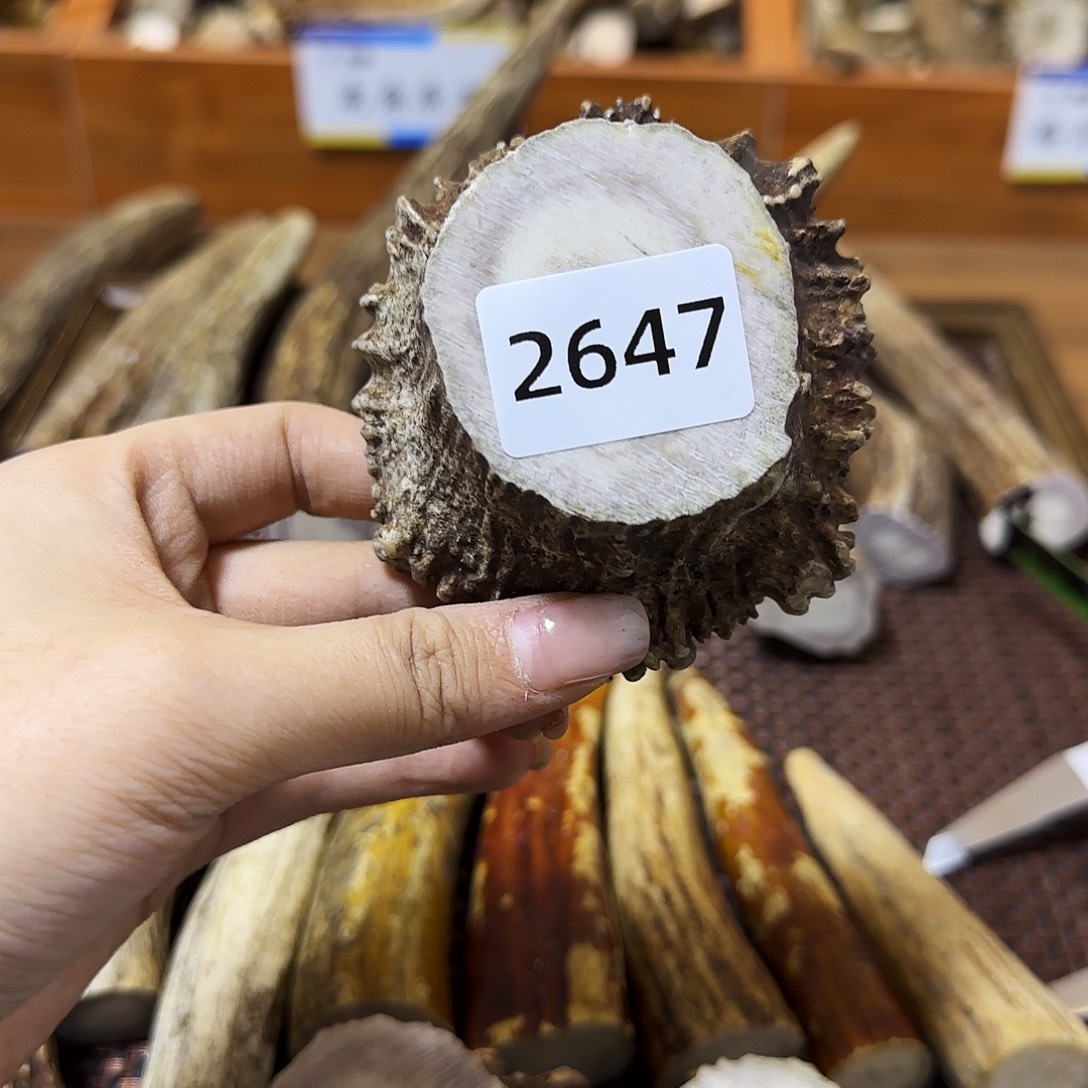 鹿骨手串/手链角帽2647