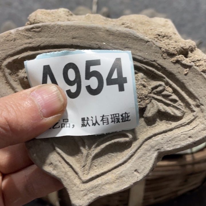 用***1陶知道啦知道啦知道咯