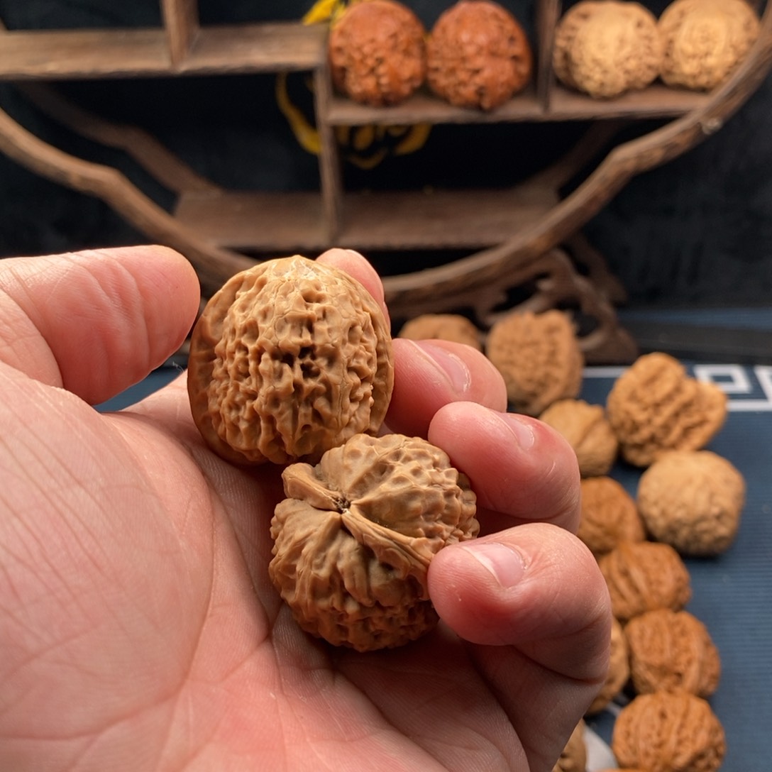 文玩核桃把件坚**懈原树西施