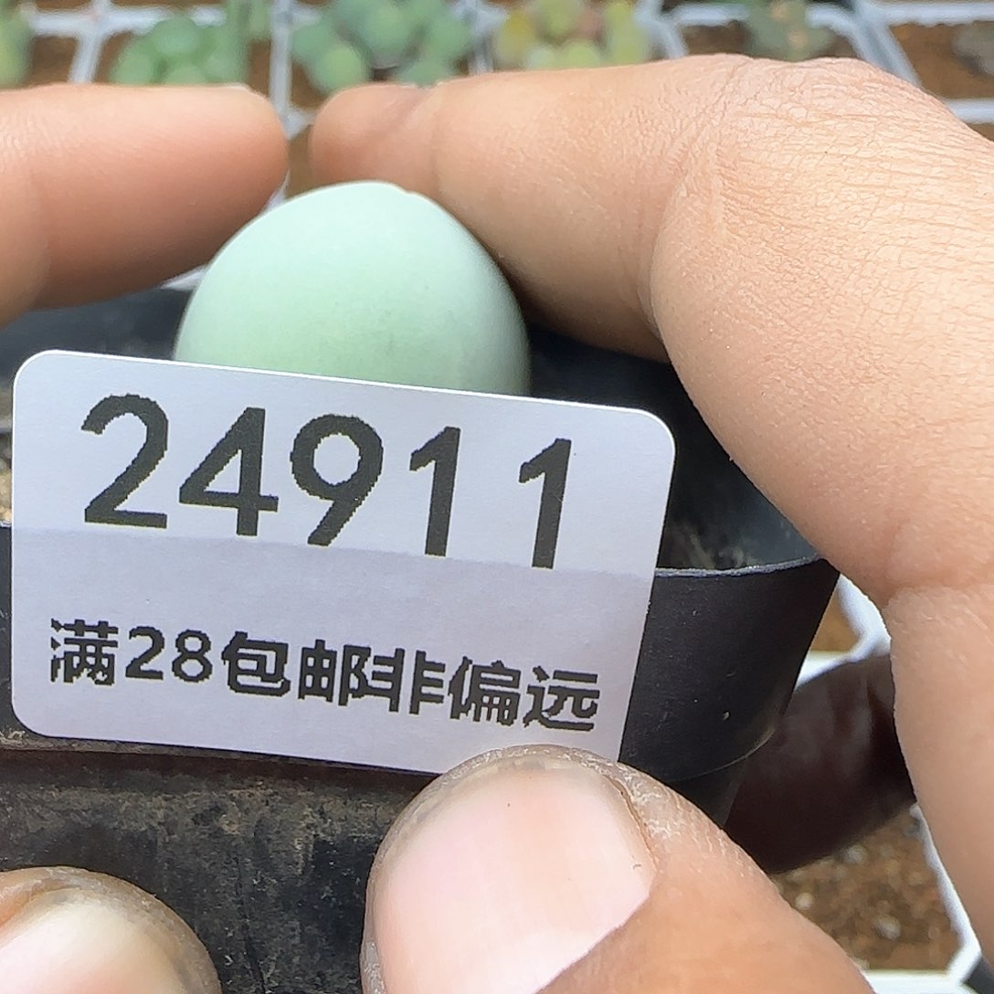 不*说脱土发货28包邮24911