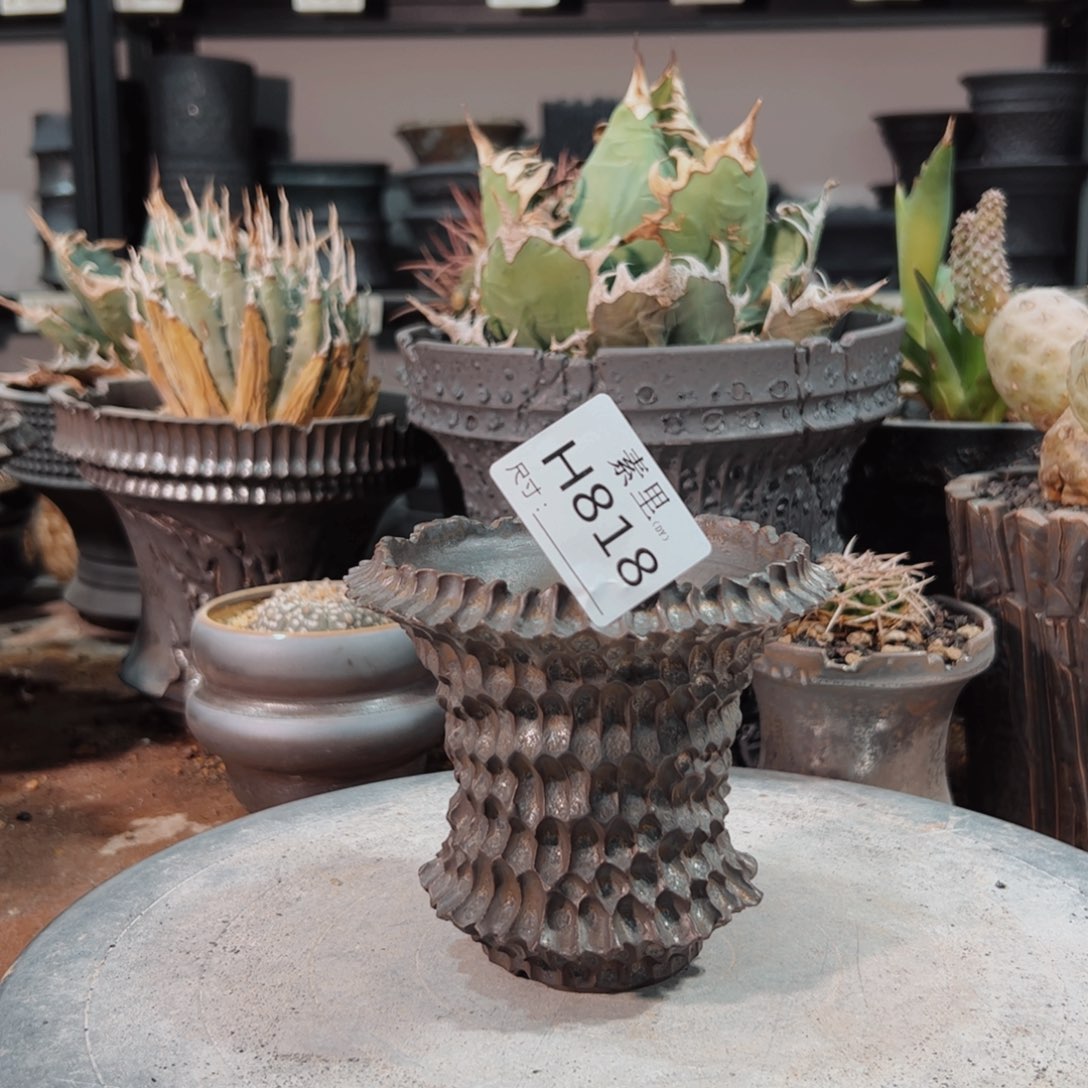 景德镇手工素里内口9.2高10瑕疵