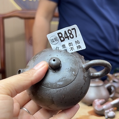 戬谷龙窑柴烧茶壶487