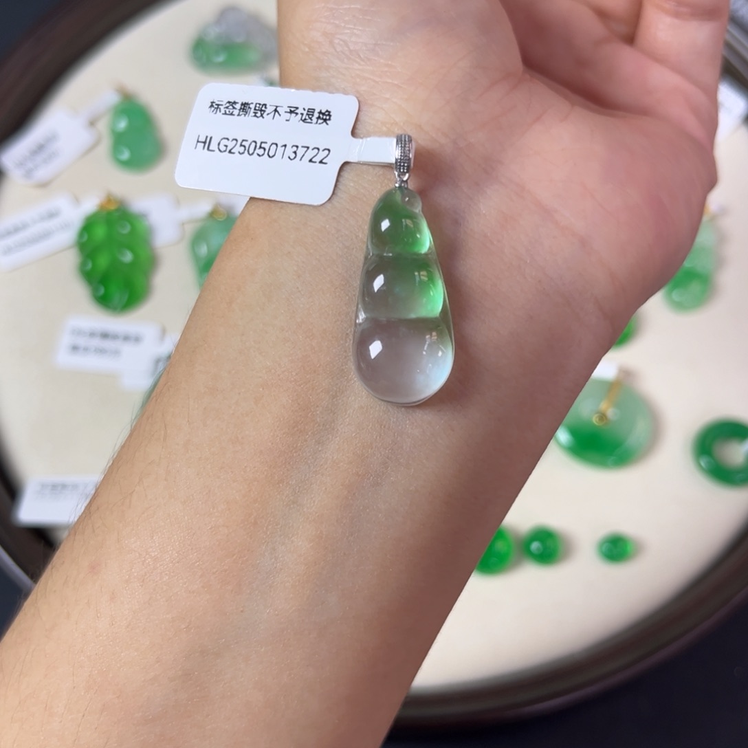 宋****福豆直播编号Y3722