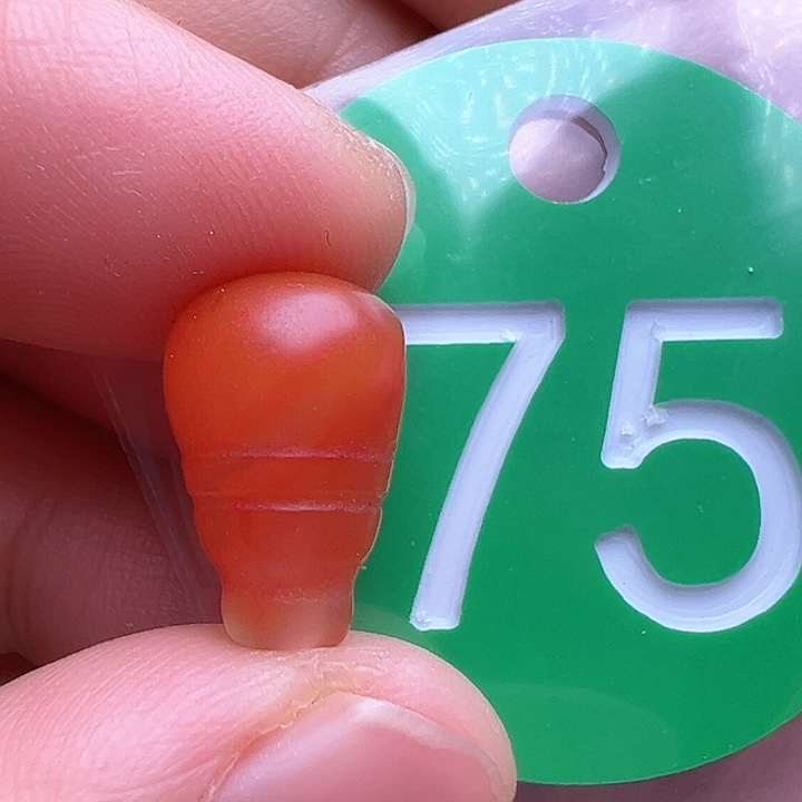 南红玛瑙未镶嵌珠宝奇石9m m