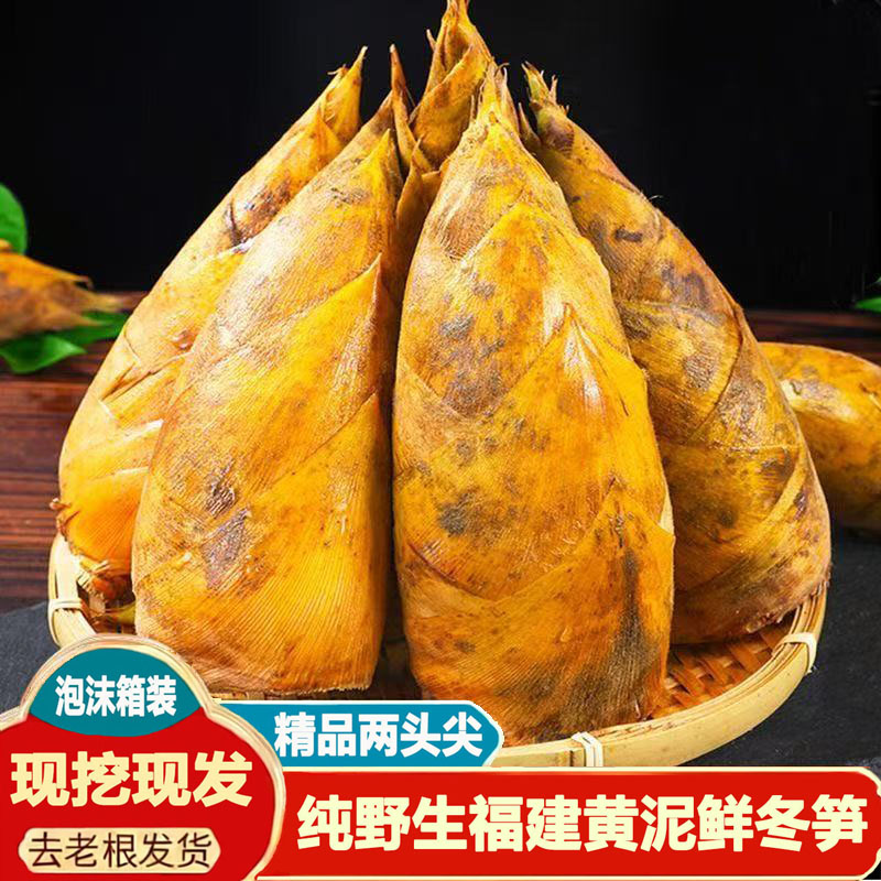 2025带壳冬笋新鲜现挖正宗野生毛竹笋福建现货冬笋两头尖批发时蔬