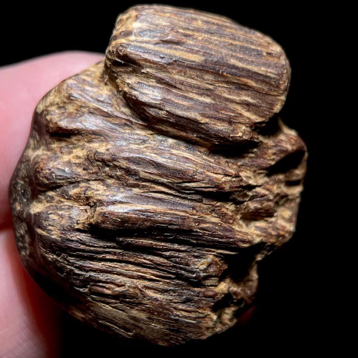 沉香达拉干沉水挂件