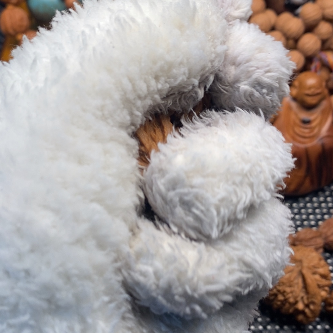 神***烦秦岭森林茂密和大量