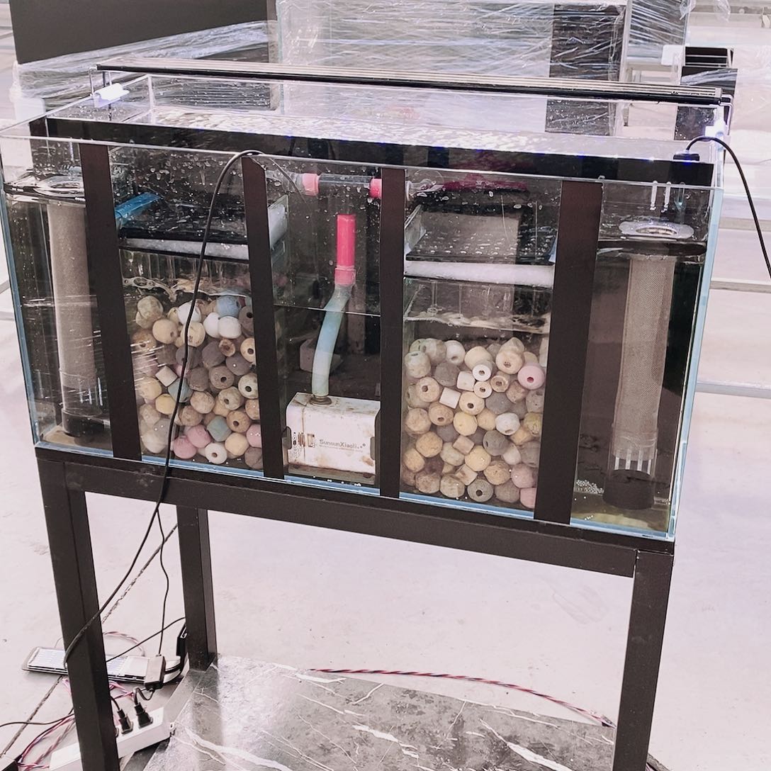 606060背双全套我***爵