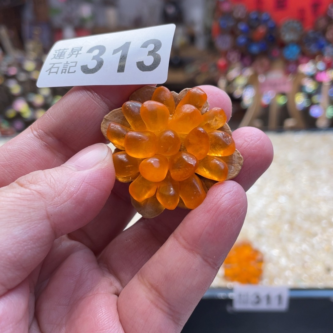 核桃木/黑胡桃（胡桃木）313