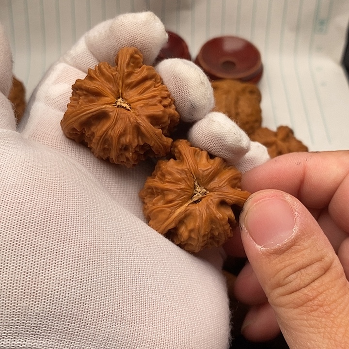 核桃手串/手链拼接白狮子12