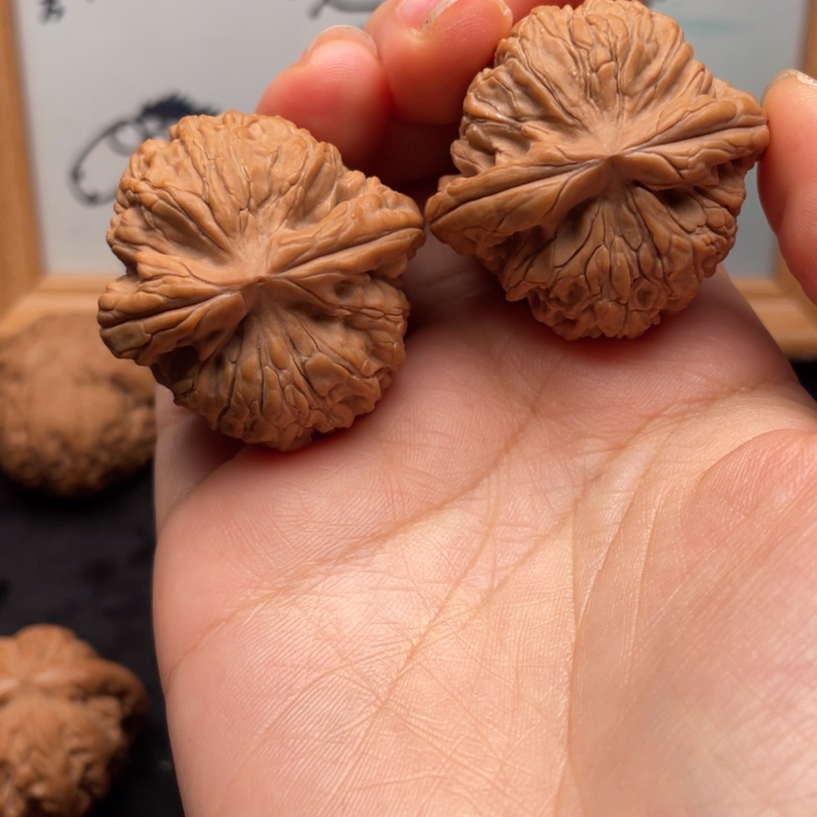 【闪购商品】文玩核桃把件L*237全品龙骨舍利