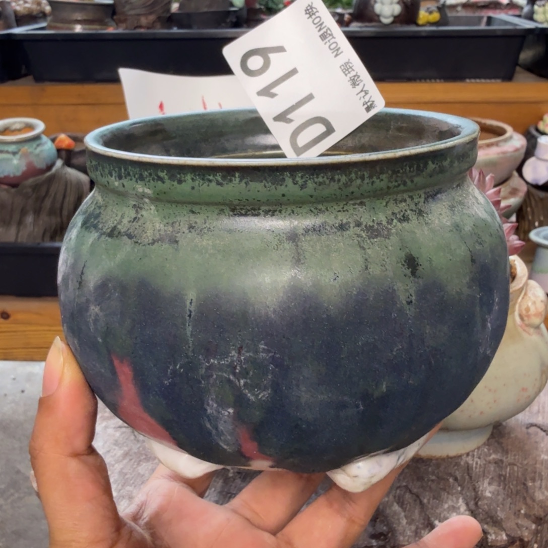 重庆小燕子欢迎大家119