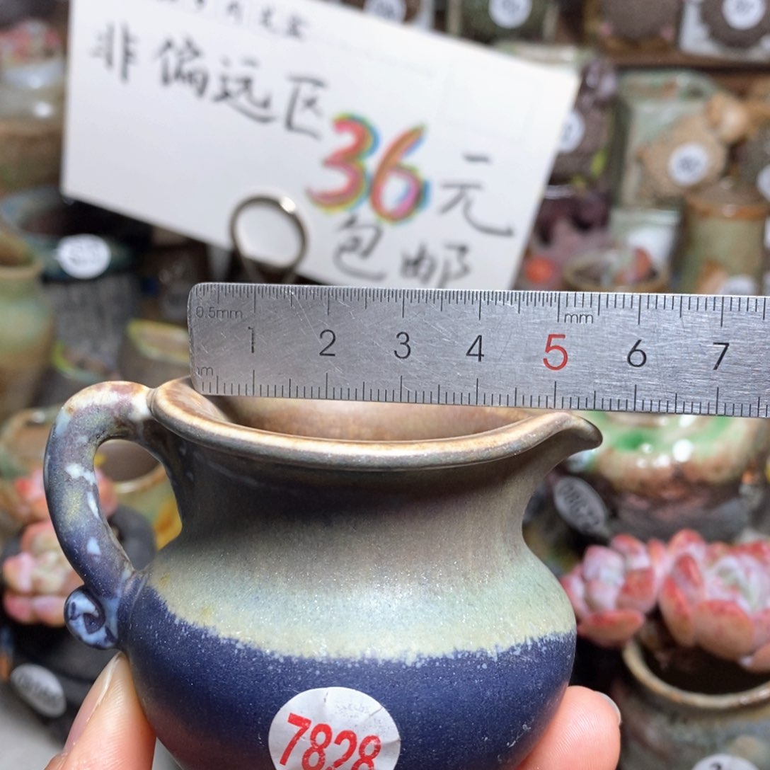 花盆拍5送一个小礼物