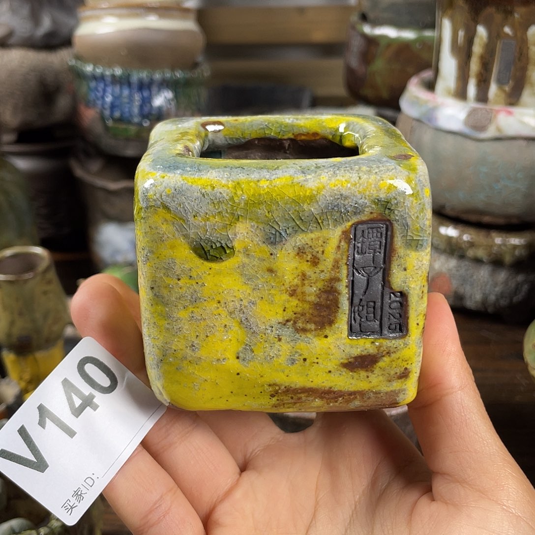 默认微次   限时福利 坛子姐花盆