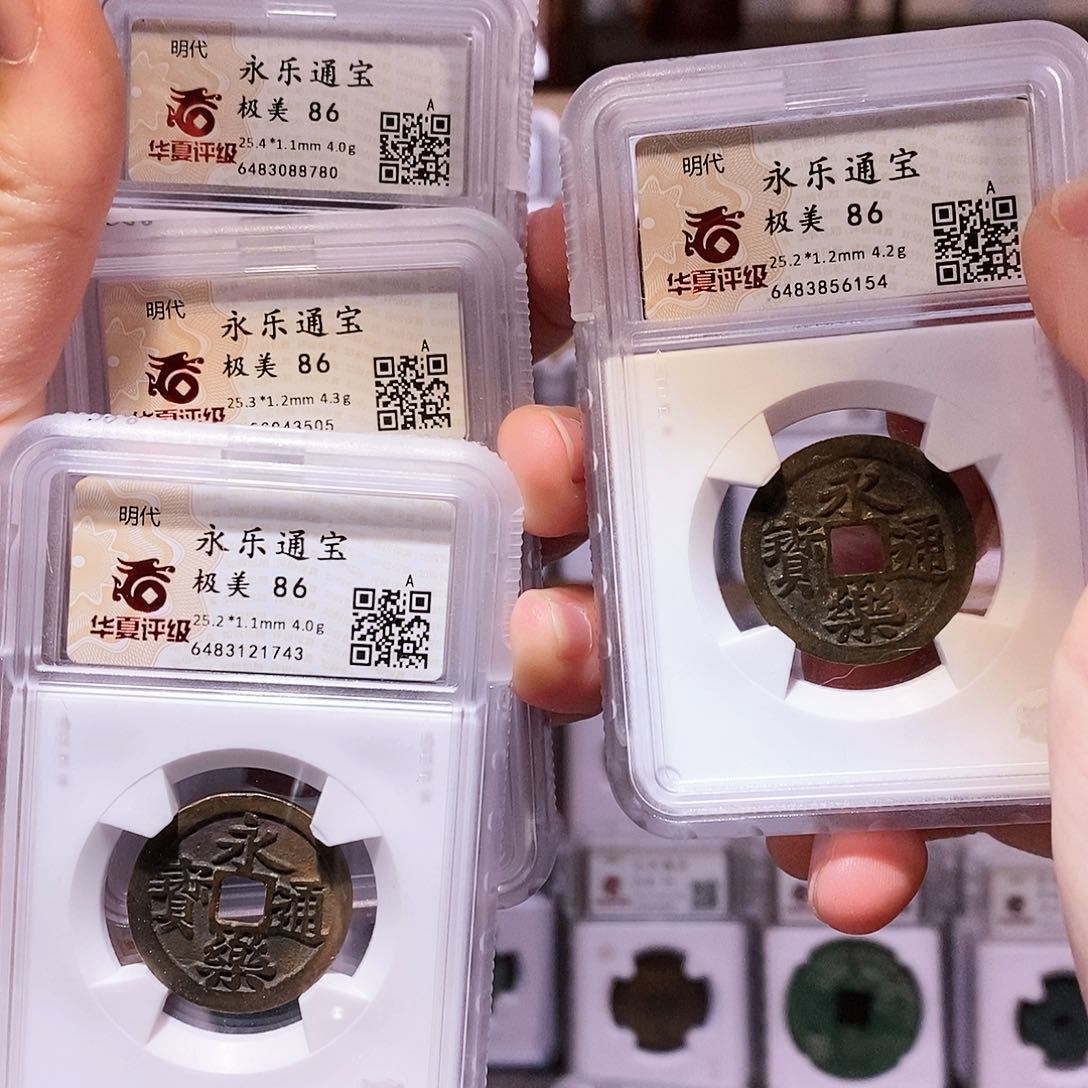 铜旅*永乐5枚，华夏86，6154