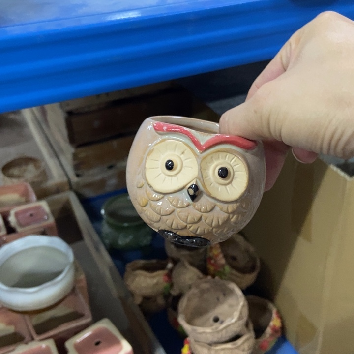 花盆单场满9.9发货6*5*6