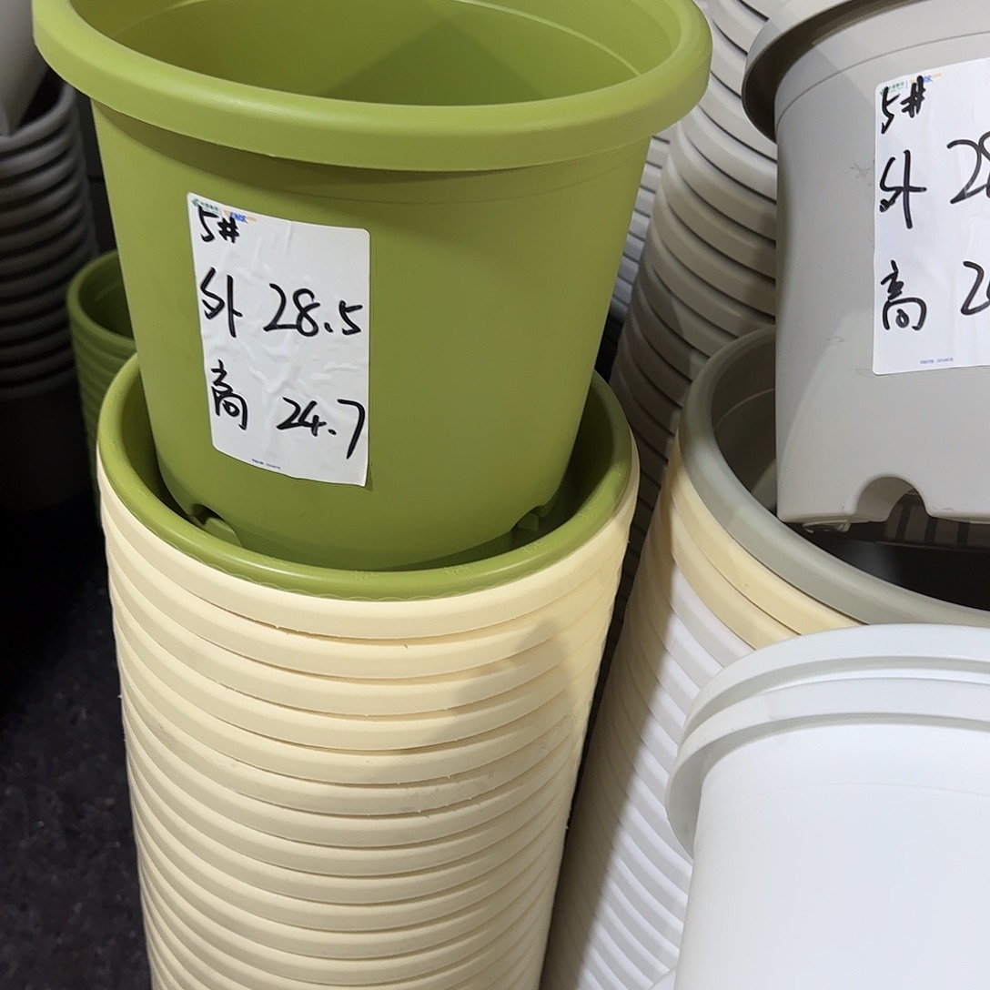 树脂四季5号带托，6个，颜色留言