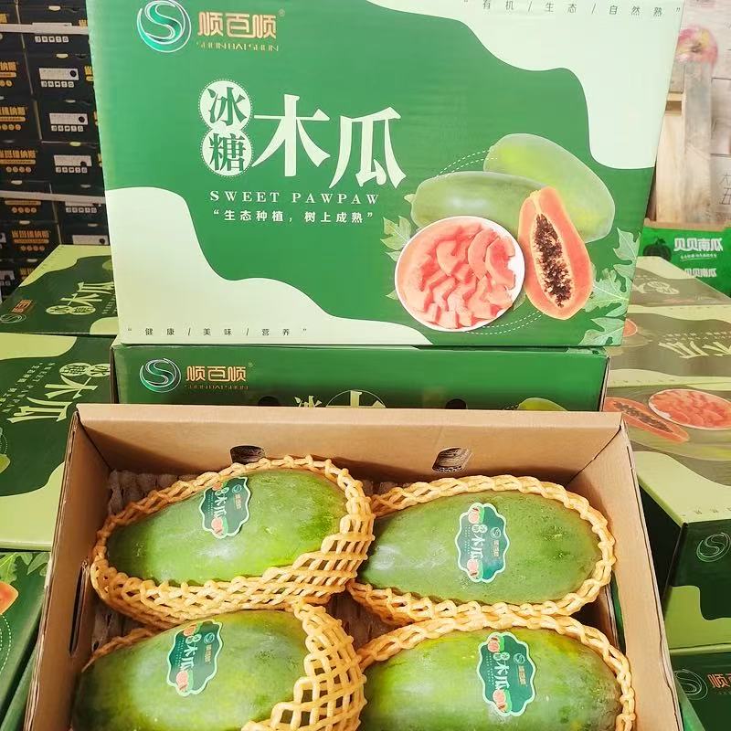 【木瓜】顺百顺冰糖木瓜，生态种植，树上成熟礼盒装5斤起广东省